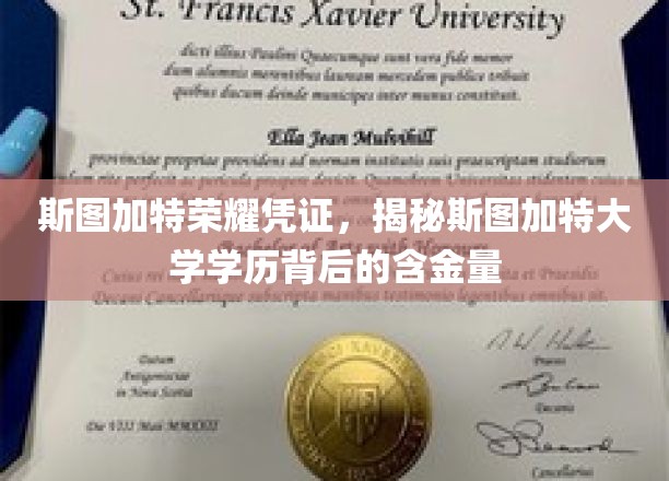 斯图加特大学学历价值揭秘，荣耀凭证背后的非凡含金量